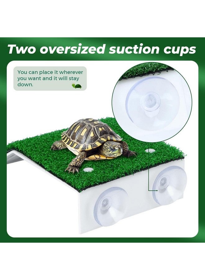 VAYINATO® Acrylic (CP-120) Turtle Basking Platform Simulation Grass Tortoise Resting Terrace with Artificial Lawns Turtle Ramp Climbing Ladder Decor with Suction Cup Tank by Petzlifeworld - Image 2