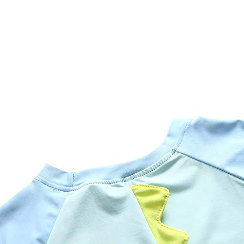 Best for All Baby Toddler Boys Two Pieces Swimsuit Set Swimwear Dinosaur Bathing Suit Rash Guards with Hat UPF 50+ (Lake Blue, 3-6 Months) - Image 4