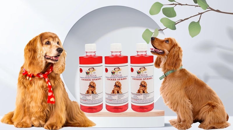 Swacch Shampoo Specially Formulated for Cocker Spaniel 500ml Pack of 3 Jasmine - Image 1