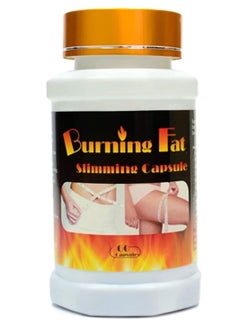 Fat burning capsules - 60 pcs - pzsku/ZE2BEB53219C1FBFC3DEEZ/45/_/1725089019/7171f1be-d364-41cb-84cf-29c3d066a57e