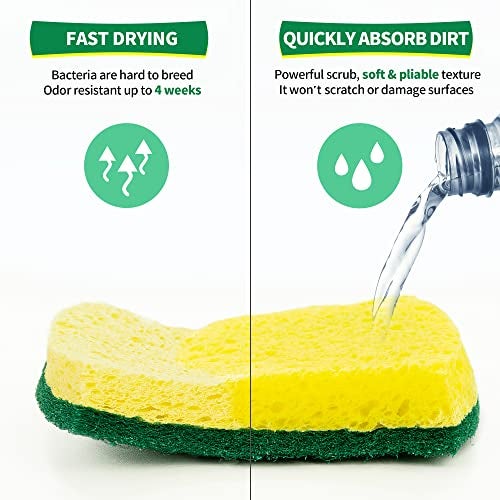 HOMERHYME Heavy Duty Scrub Sponge 24 Pack, Eco Cellulose Kitchen Dish Sponge Multipurpose Ergonomic for Washing Dishes, Uncoated Cookware & Household Cleaning. - Image 4