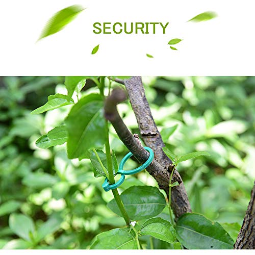 Lohas Select 100 Pcs Plant Twist Clip Ties Garden Plant Support Clips Vegetables Tomato Vine Flower Clips Plant Locks for Securing Plants - Image 5