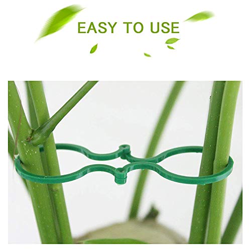 Lohas Select 100 Pcs Plant Twist Clip Ties Garden Plant Support Clips Vegetables Tomato Vine Flower Clips Plant Locks for Securing Plants - Image 4