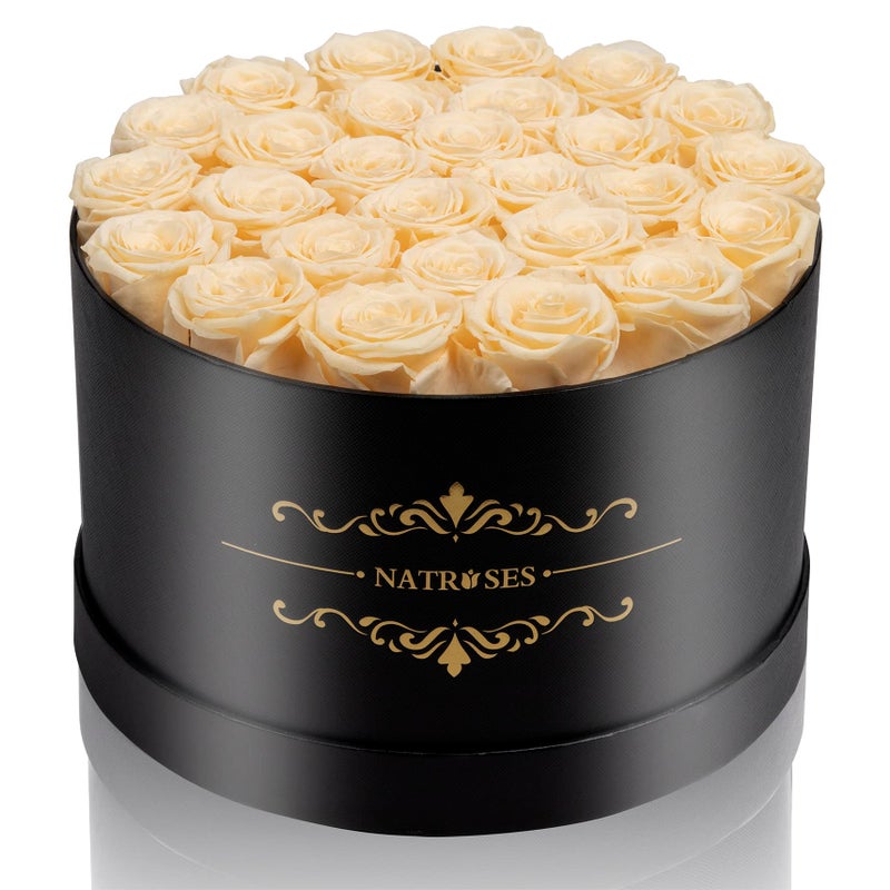 NATROSES 27 Piece Forever Preserved Roses in a Box Preserved Flowers for Delivery Birthday for Mom Buttermilk