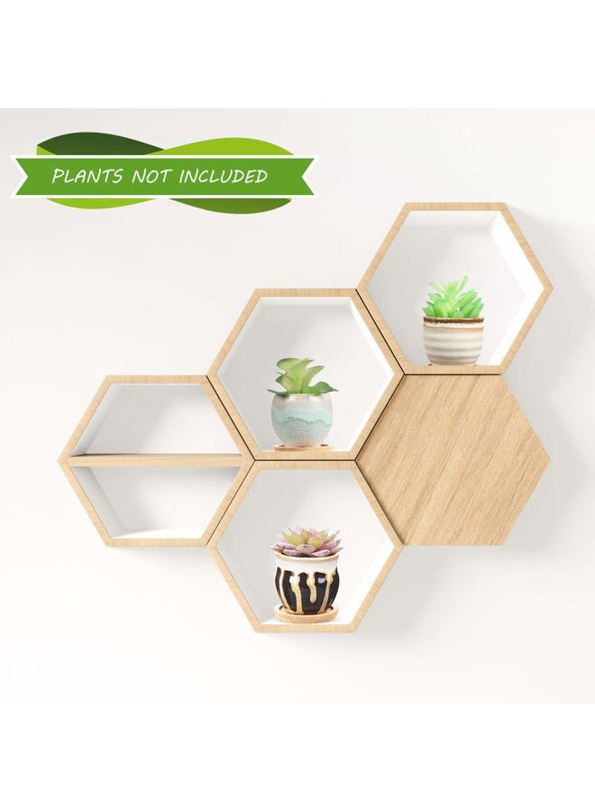 BBTO 6 Pieces Ceramic Succulent Planter Potted Ceramic Succulent Pots with Drain Holes 6 Pieces Bamboo Trays Small Plant Containers Ideal Present for Decorating Home and Office (Elegant Style) - Image 5