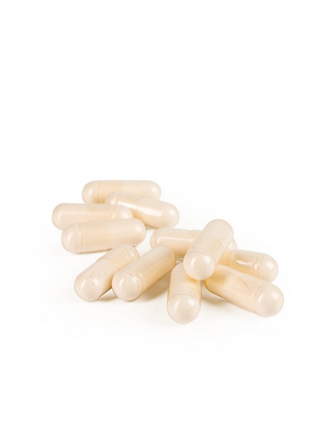 Ayush Herbs بروبيوتيك 100B مكمل عشبي طبيعي يومي 60 كبسولة - Image 4