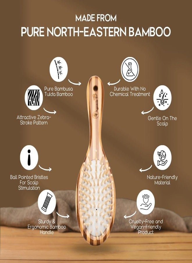 Organic B Oval Strip Bamboo Paddle Hair Brush Comb for Women and Men - Natural Bamboo Bristles for Detangling, Frizz Control, Scalp Massage - Paddle Brush for All Hair Types - Image 3