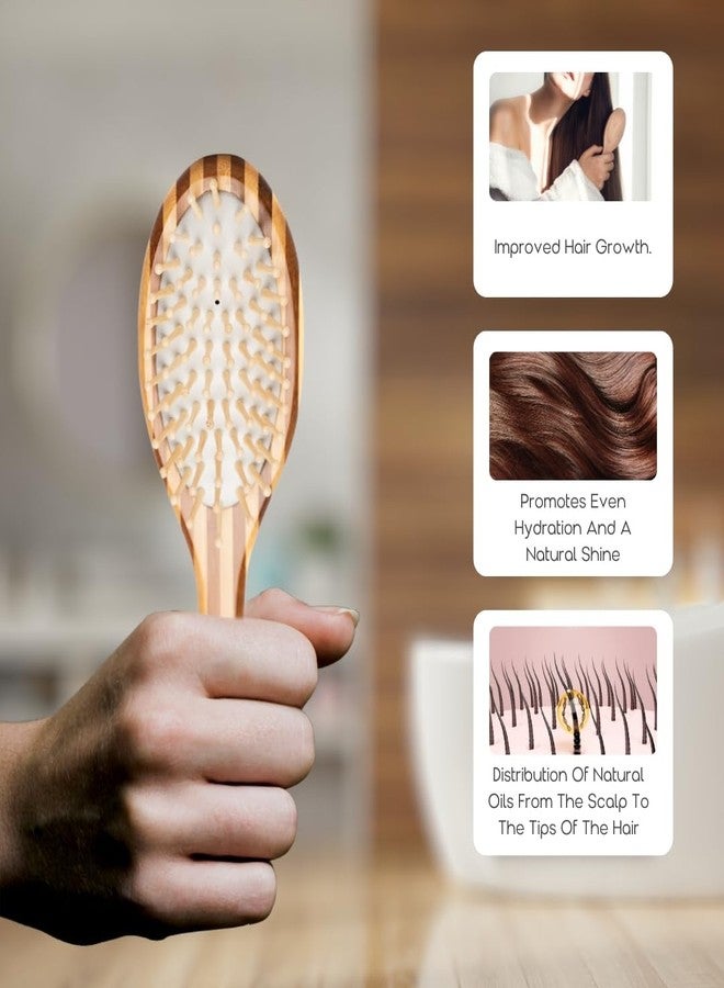 Organic B Oval Strip Bamboo Paddle Hair Brush Comb for Women and Men - Natural Bamboo Bristles for Detangling, Frizz Control, Scalp Massage - Paddle Brush for All Hair Types - Image 4