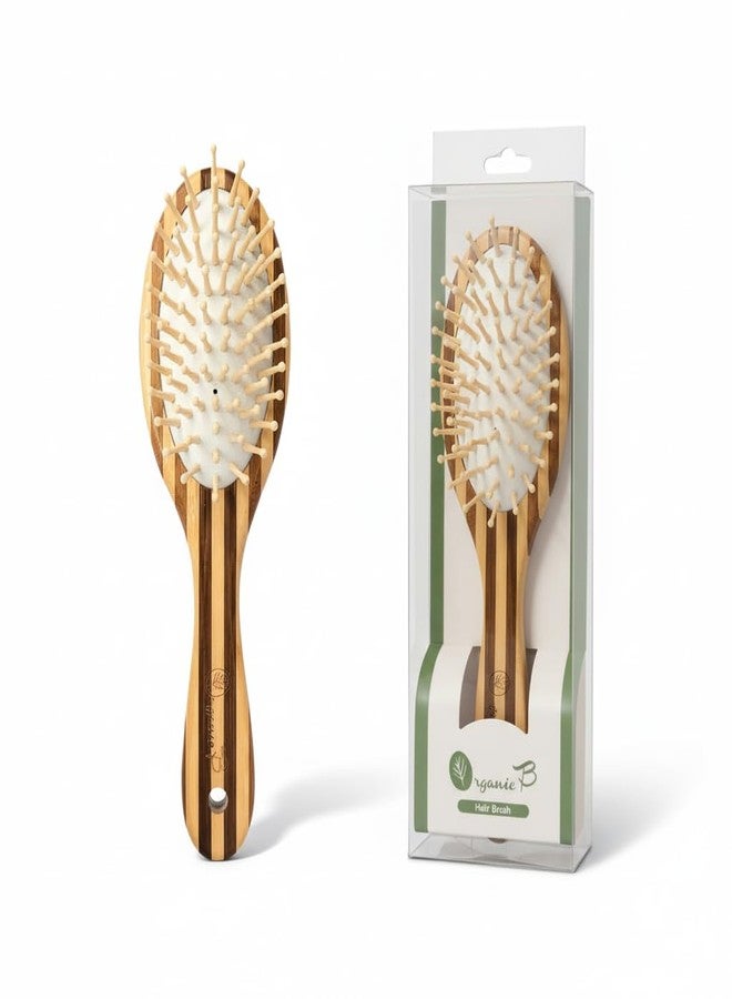 Organic B Oval Strip Bamboo Paddle Hair Brush Comb for Women and Men - Natural Bamboo Bristles for Detangling, Frizz Control, Scalp Massage - Paddle Brush for All Hair Types - Image 1