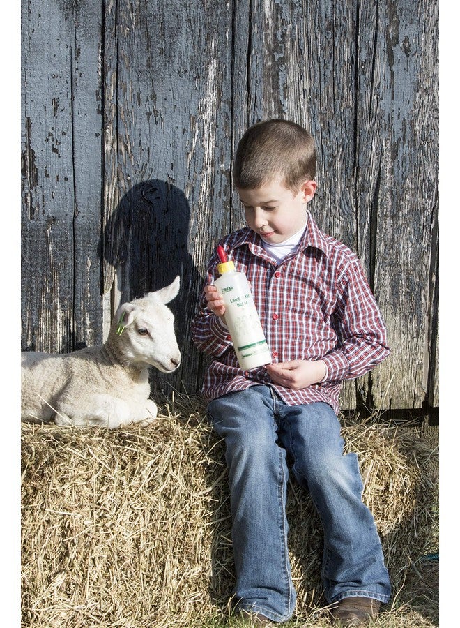 نيوجن زجاجة مثالية 7004 لامب آند كيد 16 أونصة مع حلمة لولبية حمراء - Image 3