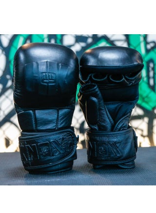 Alpha MMA Training Gloves 2021 - pzsku/ZE2C36EBF3B84C0E071ABZ/45/_/1671346537/b00997e2-07ca-480c-8421-7fb09c2d3e5b