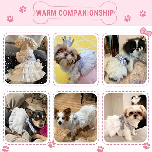 TAPBULL Dog Dresses, Fashion Pet Dog Clothes, Striped Mesh Puppy Dogs Princess Dresses (Blue, Large) - Image 4