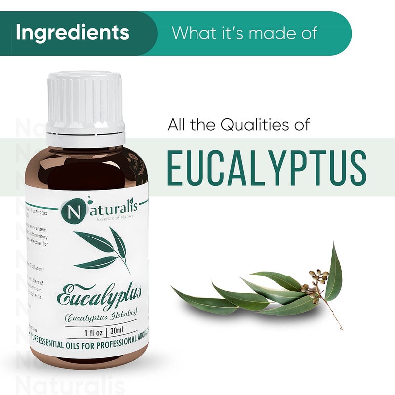 Naturalis زيت الأوكالبتوس الأساسي - زيت الأوكالبتوس النقي للعلاج بالروائح، والعناية بالبشرة والشعر، والتدليك، واستنشاق البخار، واستخدامه في الناشرات - درجة علاجية، 30 مل - Image 3