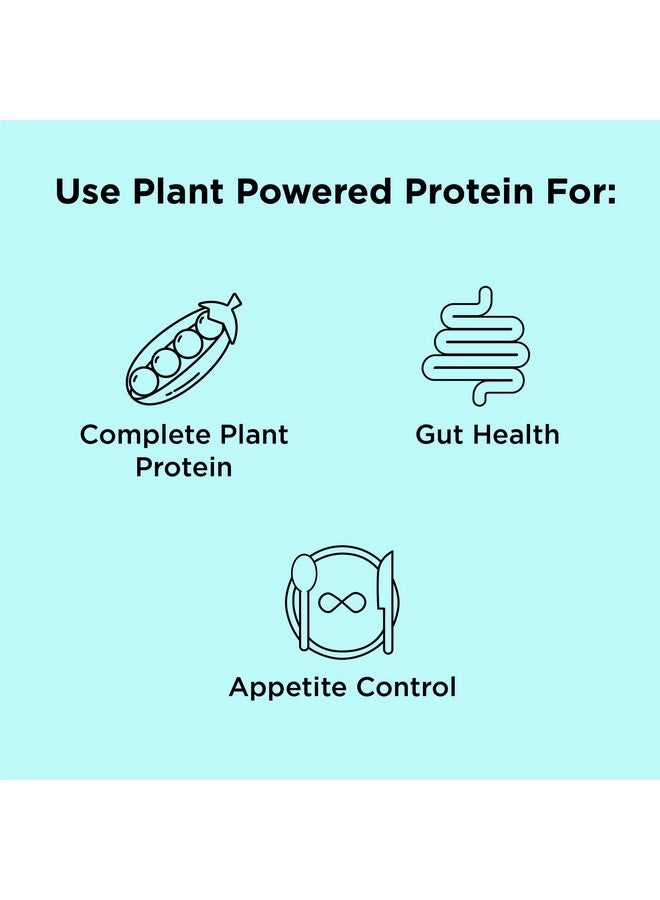 ان بي بيور مسحوق بروتين البازلاء من nbpure Earthy Andy، خالٍ من الغلوتين، غير معدل وراثيًا، خالٍ من القسوة، بنكهة الفانيليا، 30 حصة - Image 1