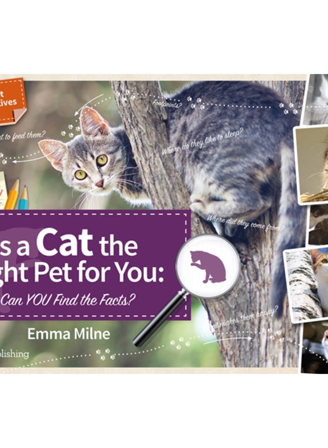 Is a Cat the Right Pet for You: Can You Find the Facts?