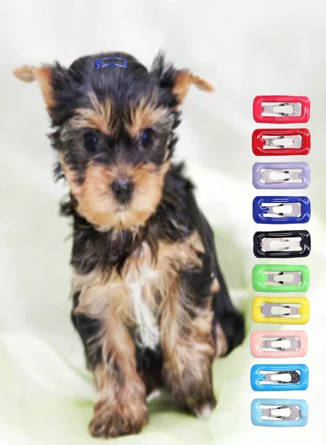 AYNEFY Small Pet Hair Clips,50Pcs Small Pet Hair Barrettes Small Pet Grooming Colored Hairpin Metal Snap Hair Clips for Bunny Chinchilla Guinea Pig Dog Cat Puppy Pet - Image 2
