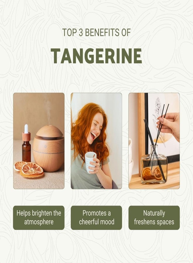 Nature Packaged Tangerine Essential Oil - Direct from Citrusmade in Sicily, Italy - Essential Oils for Diffusers & Aromatherapy | 100% Pure Therapeutic Grade (15ml) - Image 2