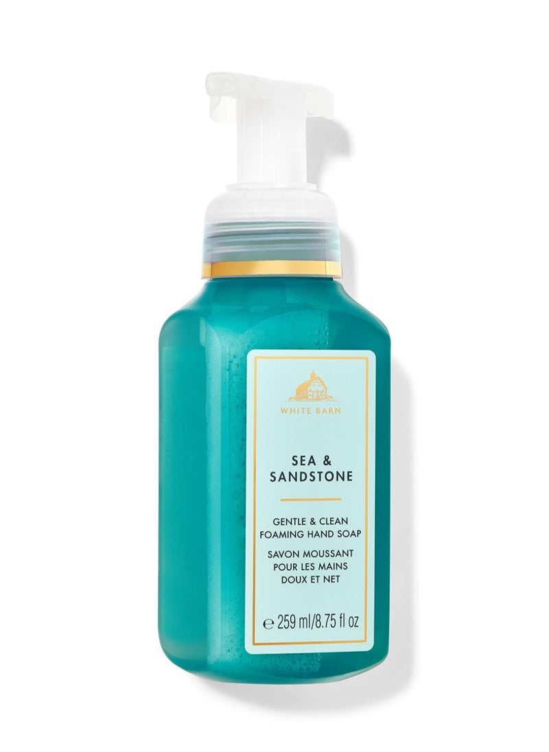Bath & Body Works Sea & Sandstone Gentle & Clean Foaming Hand Soap 