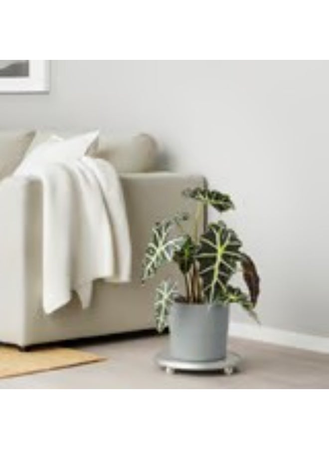 وعاء نباتات باللون الرمادي للأماكن الخارجية - Image 3