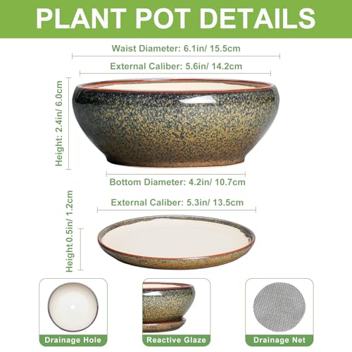 SQOWL Bonsai Pots Small - 6 Inch Ceramic Succulent Pots with Drainage Hole and Saucer, Shallow Round Planter for Indoor Plants Outdoor, Ceramic Cactus Planter, Patio Decor, Housewarming Gift, Brown - Image 2