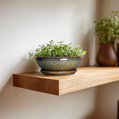 SQOWL Bonsai Pots Small - 6 Inch Ceramic Succulent Pots with Drainage Hole and Saucer, Shallow Round Planter for Indoor Plants Outdoor, Ceramic Cactus Planter, Patio Decor, Housewarming Gift, Brown - Image 5
