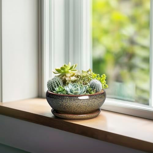SQOWL Bonsai Pots Small - 6 Inch Ceramic Succulent Pots with Drainage Hole and Saucer, Shallow Round Planter for Indoor Plants Outdoor, Ceramic Cactus Planter, Patio Decor, Housewarming Gift, Brown - Image 4