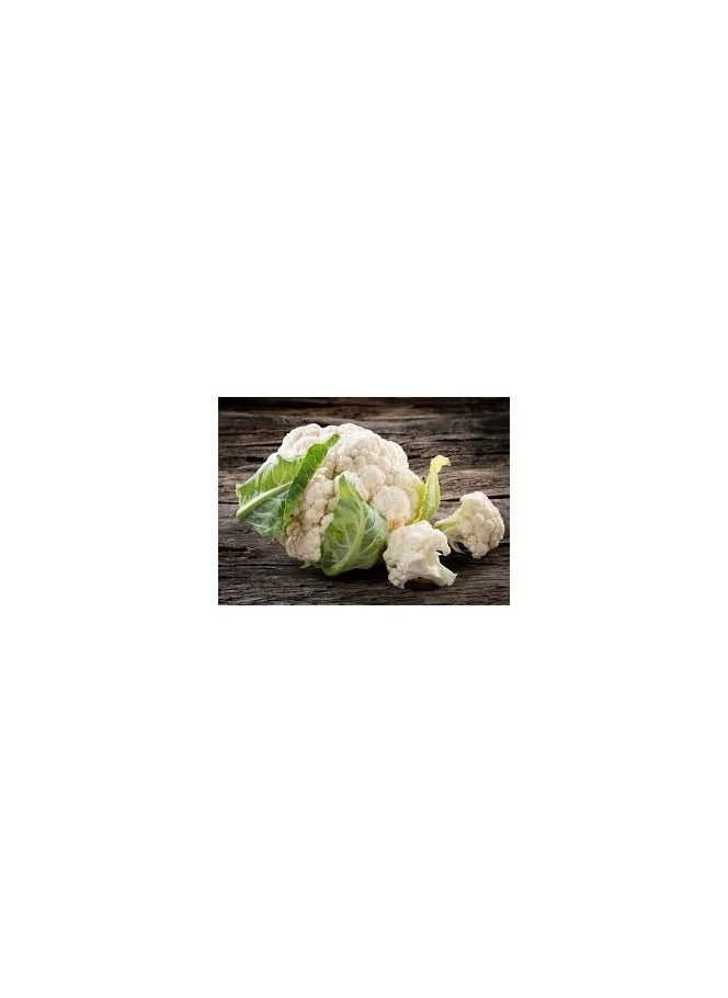 GROW Cauliflower seeds al-fajr 