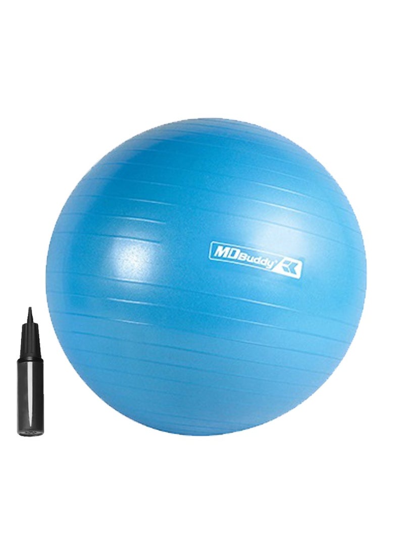 MDBuddy - Exercise Gym Ball With Pump - Image 1