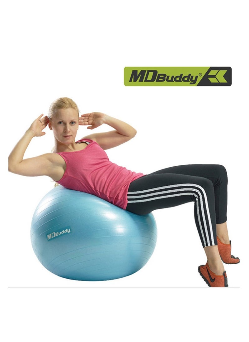 MDBuddy - Exercise Gym Ball With Pump - Image 1