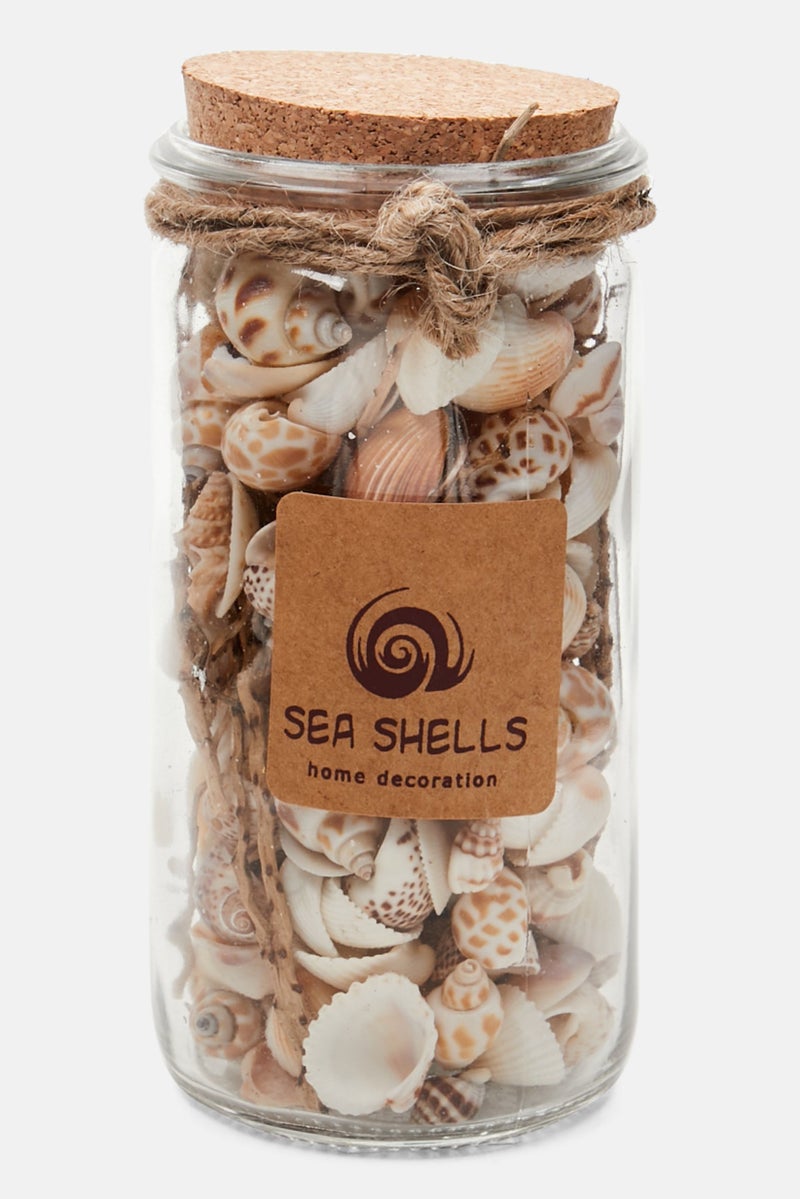 Muy Mucho Decorative Glass Jar With Sea Shells 14 H x 6 D cm, Assorted  - Image 1