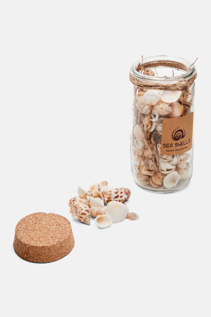 Muy Mucho Decorative Glass Jar With Sea Shells 14 H x 6 D cm, Assorted  - Image 2