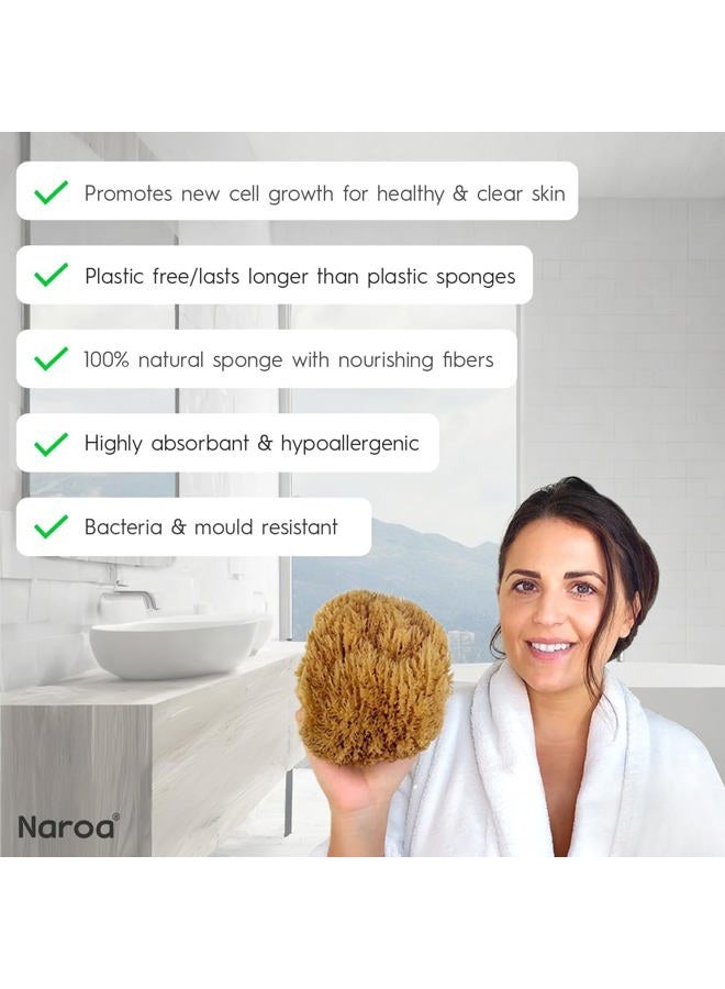 Naroa Exfoliating Natural Sponge for Shower X Large | Bath Sea Loofah for Healthy Skin | Unbleached Bathing Body Scrubber Puff | Eco Friendly Plastic Free - Image 3