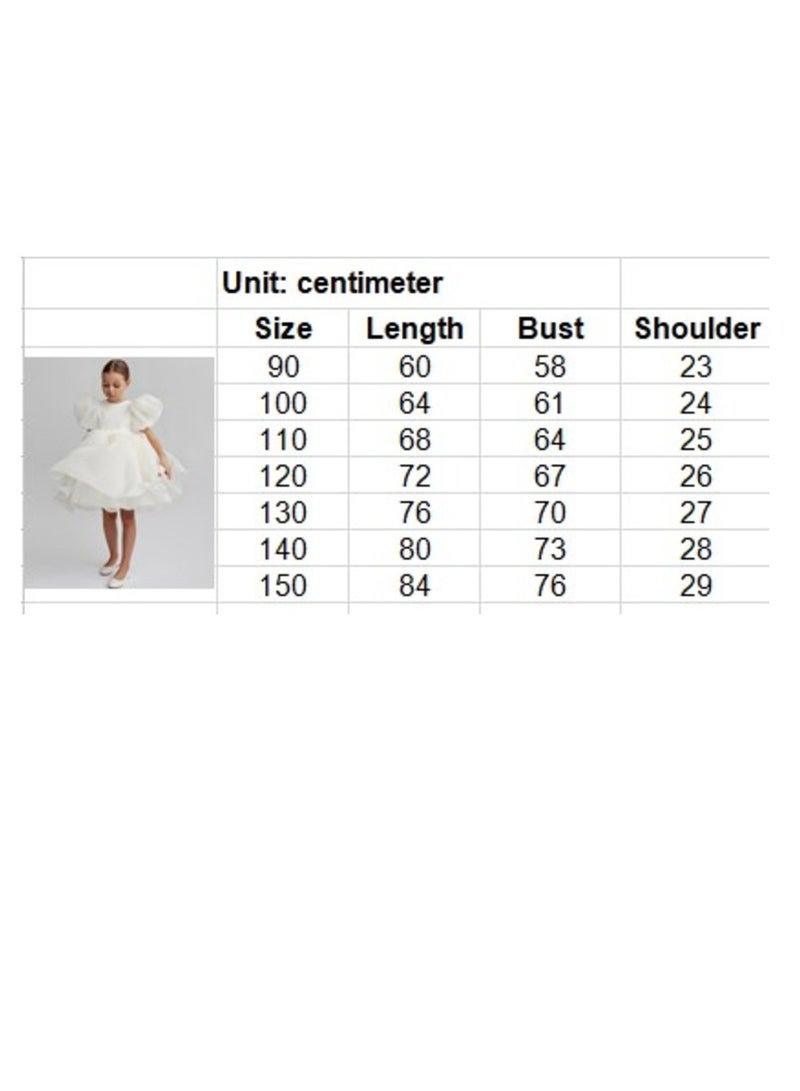 D'Daniela Ruffled Tulle Dress - Image 4