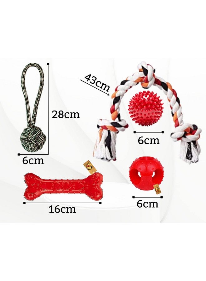 Dog Toy Combo Pack Of 5 | Handle Ball Rope, 3 Knot Rope, Rubber Bone, Spike & Hallow Ball | Small To Medium Dogs | Teething, Playing, Durable Toy Combo Pack (Color May Vary) - Image 2