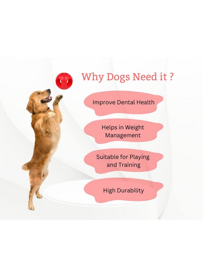 Dog Toy Combo Pack Of 5 | Handle Ball Rope, 3 Knot Rope, Rubber Bone, Spike & Hallow Ball | Small To Medium Dogs | Teething, Playing, Durable Toy Combo Pack (Color May Vary) - Image 5