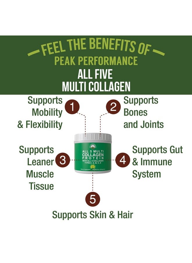 Peak Performance Peak Performance All 5 Multi-Collagen Protein Powder Peptides Multi-Collagen Contains All Types I, II, III,V, X. Keto, Paleo Friendly with Hydrolyzed Bovine, Marine, Chicken, Bone Broth Collagens  - Image 2