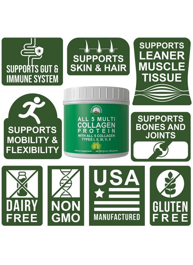 Peak Performance Peak Performance All 5 Multi-Collagen Protein Powder Peptides Multi-Collagen Contains All Types I, II, III,V, X. Keto, Paleo Friendly with Hydrolyzed Bovine, Marine, Chicken, Bone Broth Collagens  - Image 3
