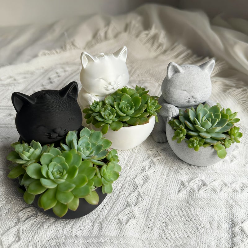 Bright White Cat Shaped Planter With Drainage Holes For Succulents Small Plants Cacti - Image 4