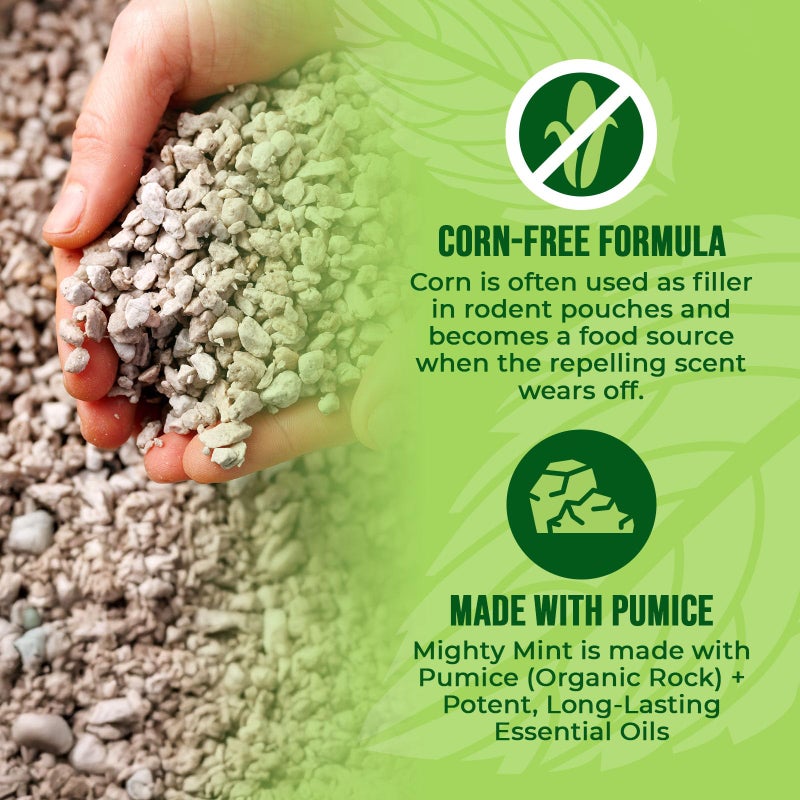 Mighty Mint Mouse Repellent Pouches â€“ Peppermint, Castor Oil & Cinnamon Formula â€“ Natural Indoor Deterrent for Mice and Rodents â€“ Plant-Based, Long-Lasting Protection â€“ 12 Count - Image 5