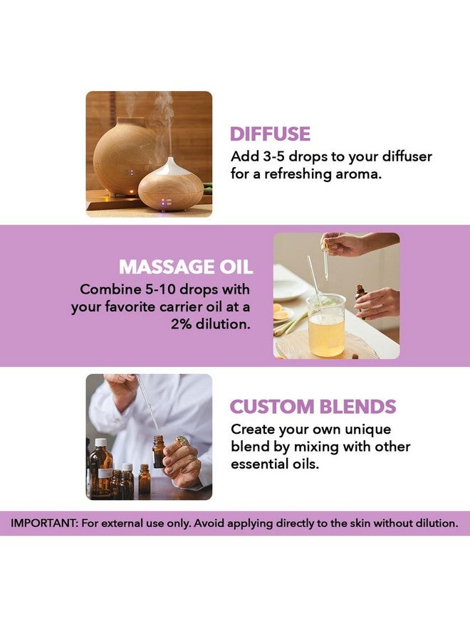Majestic Pure MAJESTIC PURE Lavender Essential Oil | 100% Pure and Natural | Premium Grade Essential Oils for Hair Care, Home Diffusers, Skin, Aromatherapy, Massage and Humidifiers | 1 Fl Oz - Image 3