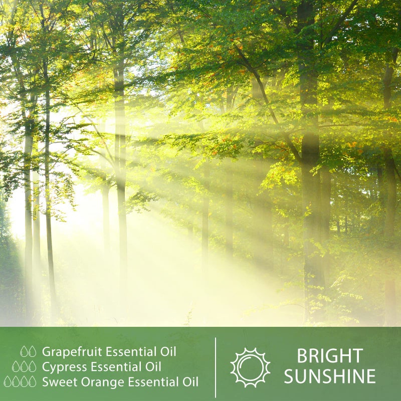 PHATOIL Cypress Essential Oil, 1.01Fl.Oz (30ML) PHATOIL Pure Essential Oil Singles for Aromatherapy Diffusers, Humidifiers, Great for DIY Candle and Soap Making, Gift for Friend - Image 5