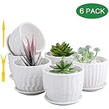 Brajttt Brajttt Mini Ceramic Planters, 4 Inch Cylinder Ceramic Plant Pots with Connected Saucer, Planters for Succuelnt and  - Image 1