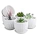 Brajttt Brajttt Mini Ceramic Planters, 4 Inch Cylinder Ceramic Plant Pots with Connected Saucer, Planters for Succuelnt and  - Image 2