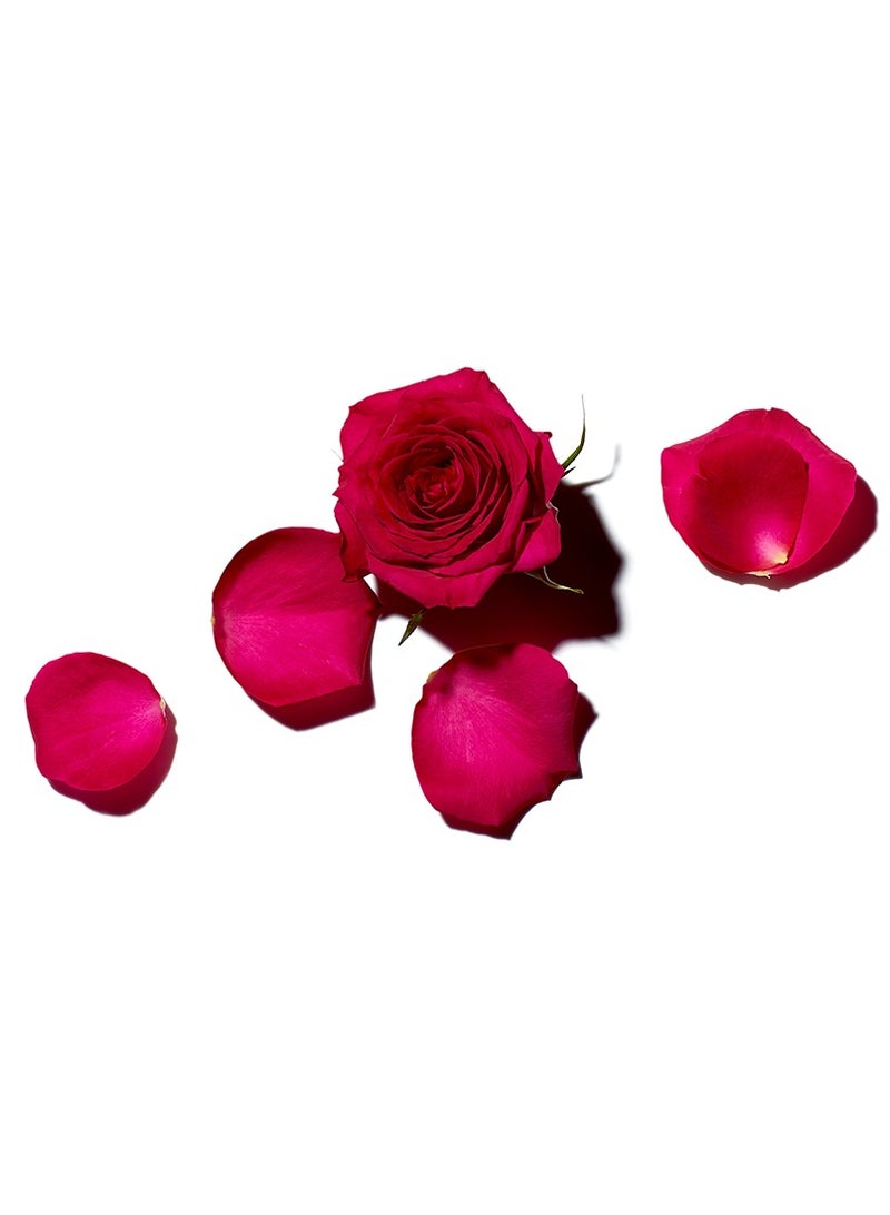 BENAMÕR Rose Amélie Revitalizing Body Lotion – Lightweight Body Moisturiser with Rose Extract & Argan Oil | Softening, Hydrating Lotion for Smooth Skin – 300ml - Image 3