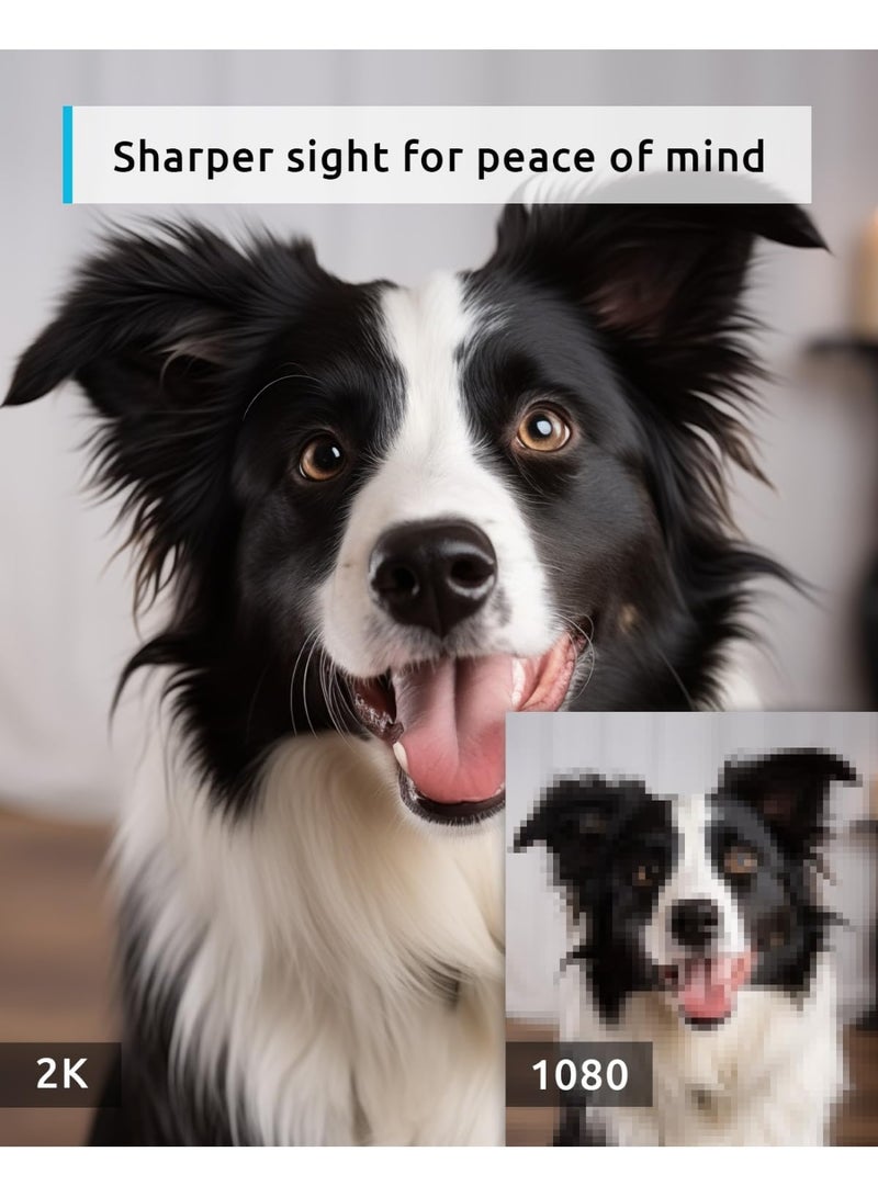 blurams 5G Pet Camera 2K, 360Â° PTZ Dog Camera with Phone App, Indoor Cameras for Home Security w/Dual-Band WiFi6, 2-Way Audio, Motion Tracking, Color/IR Night Vision, Siren, Cloud&SD - Image 4