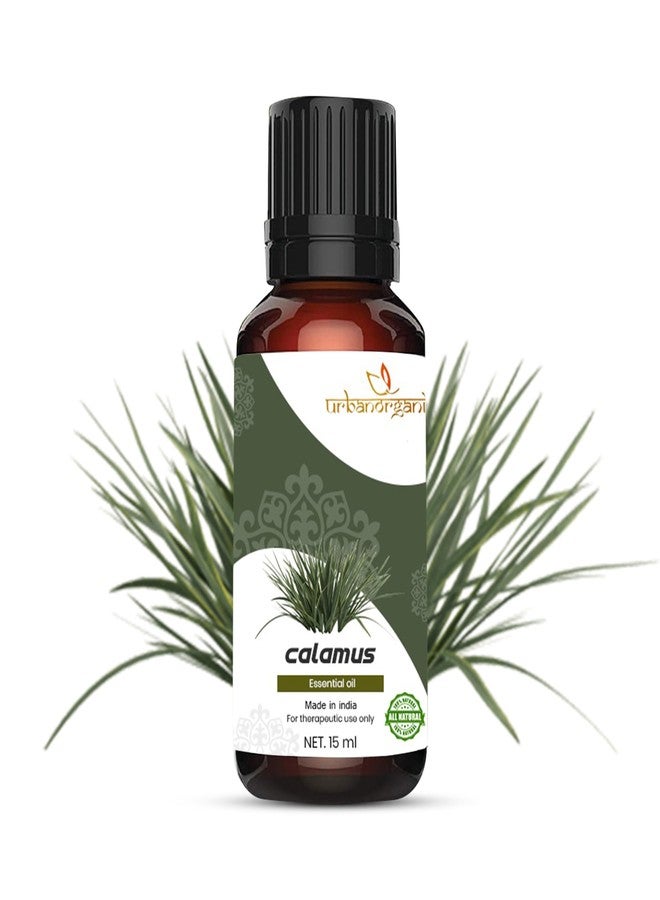 زيت الكالاموس العطري من فيرتوال لنمو الشعر، والتحكم في تساقطه، وتغذية البشرة | للوجه والعلاج العطري للرجال والنساء، للتحكم في قشرة الرأس ومنح البشرة إشراقة | يرطب الشعر الجاف (15 مل)