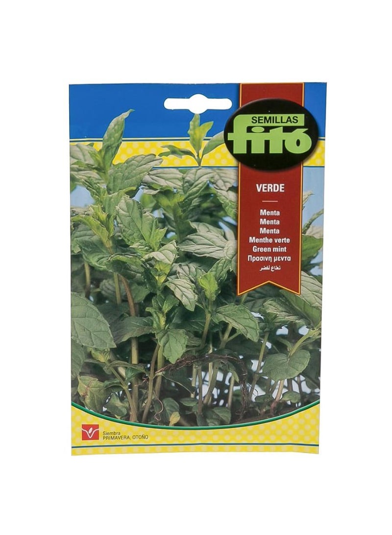Fito Green Mint Seeds