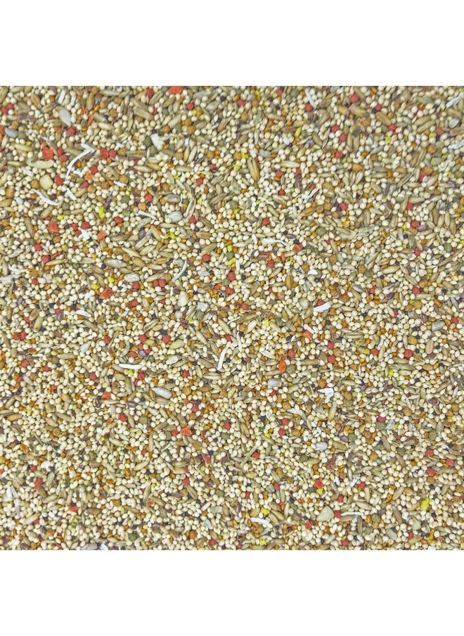 HigginS 2 Pack Of Sunburst Gourmet Blend Parakeet Food, 2 Pounds Each, With Protein Egg Food  - Image 2