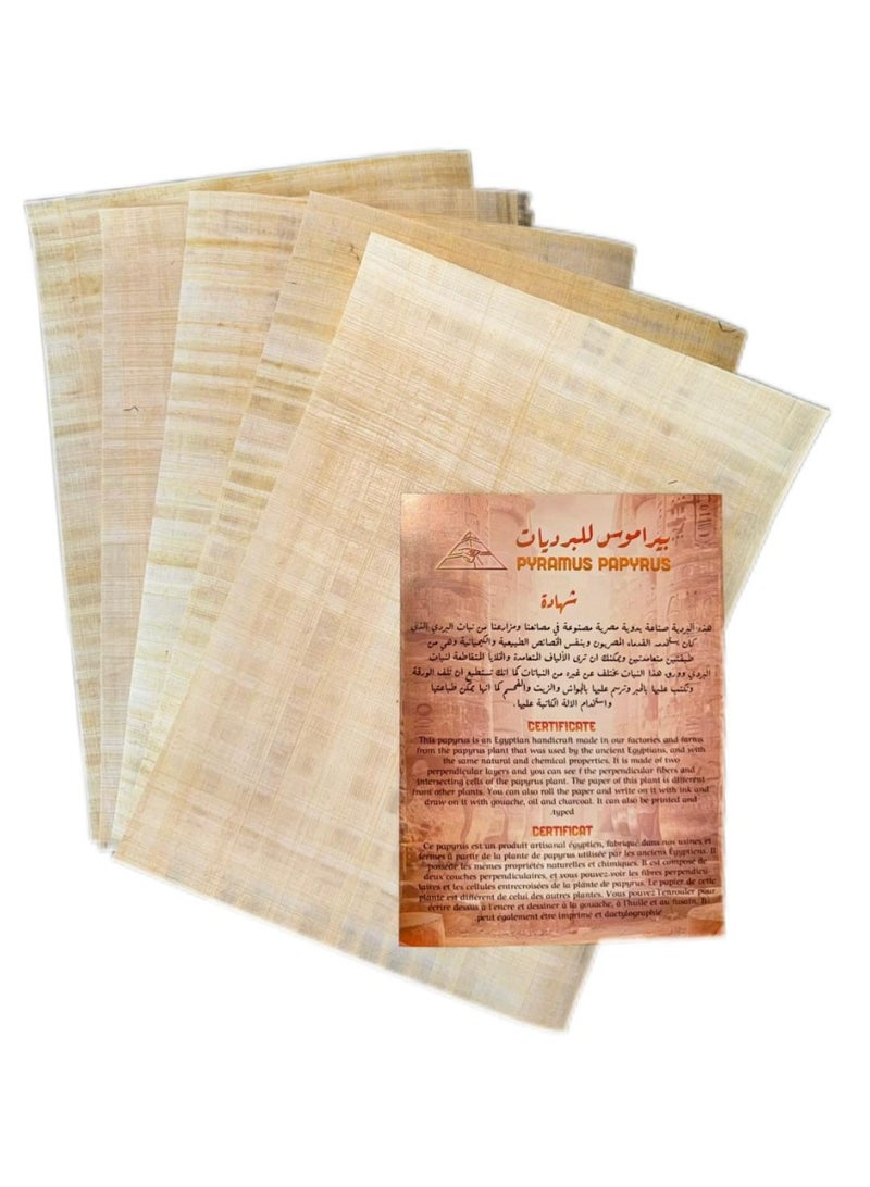 5 Blank Egyptian Papyrus Sheets for Art Projects and Schools 8x12in 20x30cm (Premium,Grade1) - Image 1