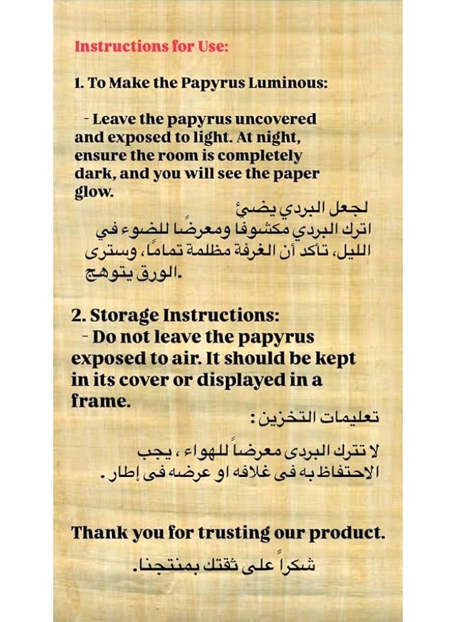 5 Blank Egyptian Papyrus Sheets for Art Projects and Schools 8x12in 20x30cm (Premium,Grade1) - Image 2